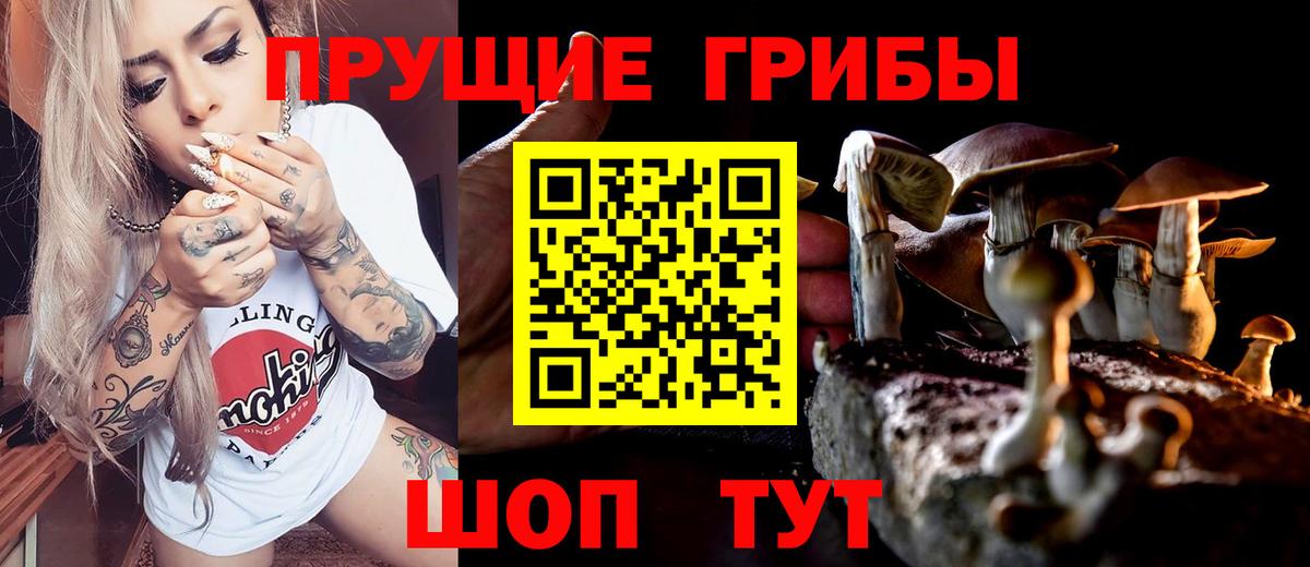 Псилоцибиновые грибы GOLDEN TEACHER Дзержинск