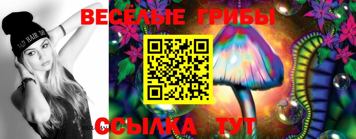 Галлюциногенные грибы мухоморы  Вход с VPN  Дзержинск  Галлюциногенные грибы мухоморы 